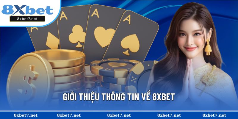 Những các dữ liệu bạn cần nắm khi tham gia 8XBET