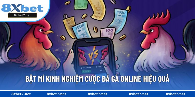 Chia sẻ mẹo chơi đá gà hiệu quả tại 8XBET