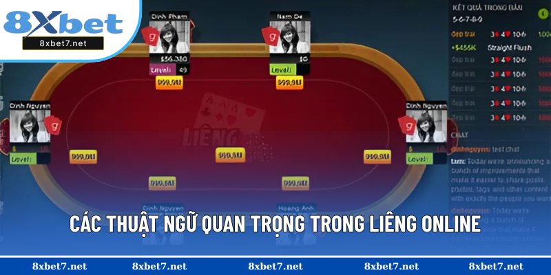 Tổng hợp những thuật ngữ hay gặp trong Liêng