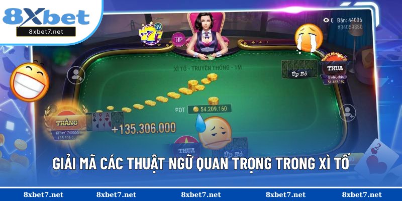 Khám phá ý nghĩa các thuật ngữ trong Xì Tố