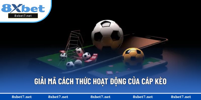 Bật mí cách thức hoạt động của cáp kèo