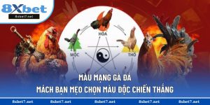 Màu mạng gà đá