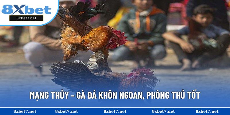 Gà mạng thủy với nhiều ưu điểm tốt