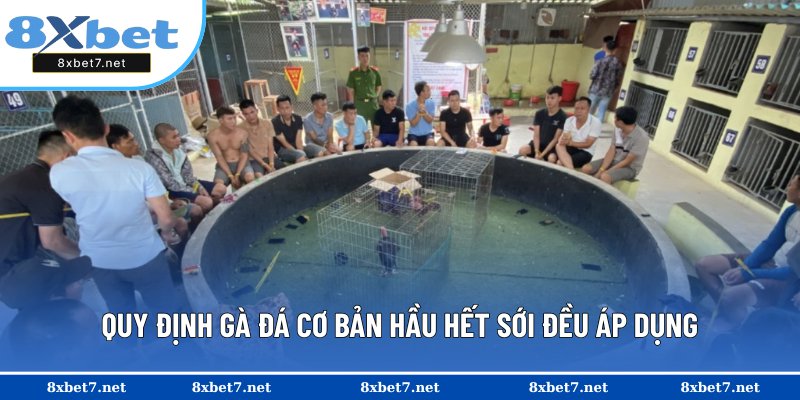 Cập nhật chi tiết các quy định gà đá chúng