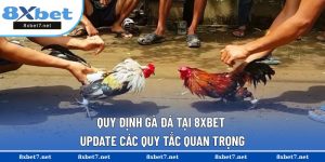 Quy định gà đá