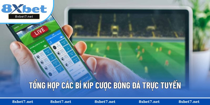 Chia sẻ các mẹo cược bóng đá online hiệu quả