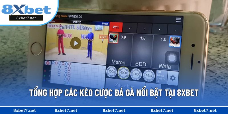 Danh sách 3 kèo cược đá gà cơ bản