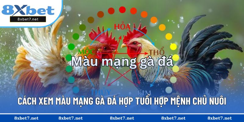 Hướng dẫn cách chọn gà đá tương sinh ngũ hành